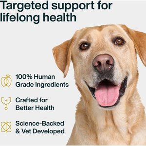 JustFoodForDogs Probiotic Booster Gut, Digestive Health Support, Diarrhea, Human Grade Ingredients Soft Chews Supplement for Dogs, 45 count