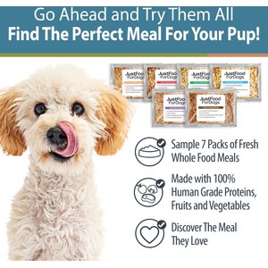 JustFoodForDogs Sampler Variety Box Frozen Human-Grade Fresh Dog Food, 18-oz pouch, case of 7