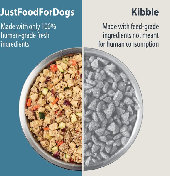 Just Food For Dogs Turkey And Macaroni Recipe The Farmers Dog