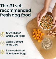 JustFoodForDogs Veterinary Diet Metabolic Support Frozen Human-Grade Fresh Dog Food, 18-oz pouch, case of 7 slide 2 of 9