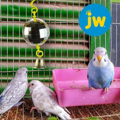 Show full view: JW Pet Activitoy Birdie Disco Ball Toy, Small/Medium slide 2 of 6