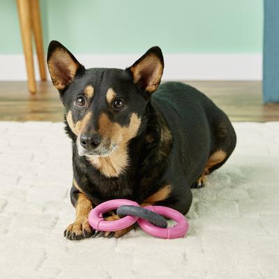 Show full view: JW Pet Big Mouth Triple Ring Dog Toy, Color Varies, Small slide 3 of 5