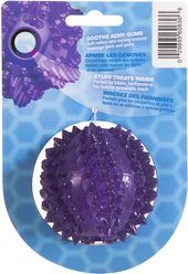 JW Pet Bristly Cactus Ball Dog Toy, Purple slide 2 of 5