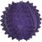 Show in main carousel: JW Pet Bristly Cactus Ball Dog Toy, Purple slide 6 of 7
