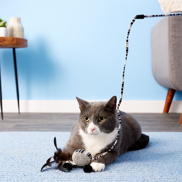 JW Pet Cataction Spring String Cat Toy