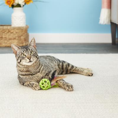 Show full view: JW Pet Cataction Feather Ball with Bell Cat Toy slide 4 of 7