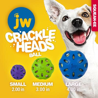 Show full view: JW Pet Crackle Heads Ball Dog Toy, Color Varies, Medium slide 6 of 10