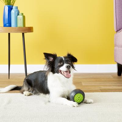 Show full view: JW Pet Grass Ball Dog Toy, Color Varies, Large slide 7 of 10