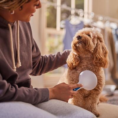 Show full view: JW Pet Gripsoft Slicker Brush Soft Pin slide 3 of 5