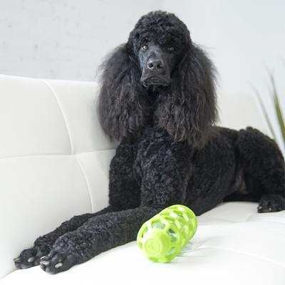 Show full view: JW Pet Hol-ee Bottle Dog Toy, Medium slide 3 of 4