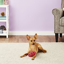 JW Pet Hol-ee Football Dog Toy, Color Varies, Small slide 2 of 3