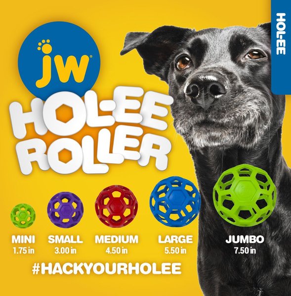 Show full view: JW Pet Hol-ee Roller Dog Toy, Color Varies, Small slide 3 of 9
