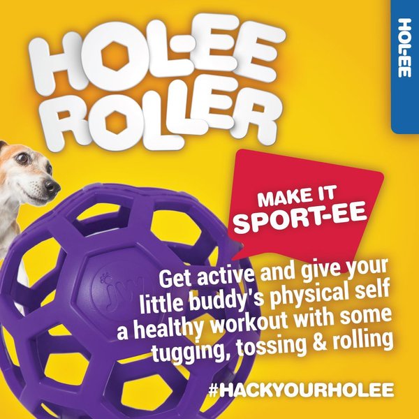 Show full view: JW Pet Hol-ee Roller Dog Toy, Color Varies, Small slide 5 of 9