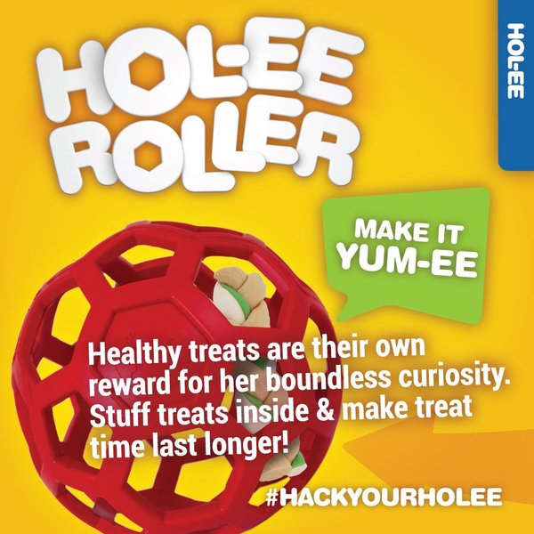 Show full view: JW Pet Hol-ee Roller Dog Toy, Color Varies, Small slide 6 of 9