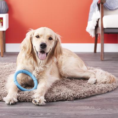 Show full view: JW Pet Invincible Chains Dog Toy, Color Varies, Single slide 3 of 7