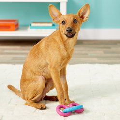 JW Pet Invincible Chains Triple Dog Toy, Color Varies, X-Small slide 2 of 2