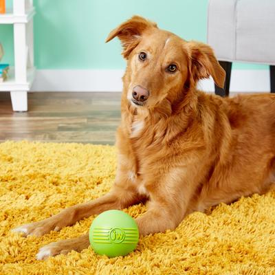 Show full view: JW Pet iSqueak Ball Dog Toy, Color Varies, Large slide 2 of 6