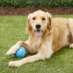 JW Pet iSqueak Bouncin' Baseball Dog Toy, Color Varies, Large slide 2 of 5