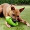 Show in main carousel: JW Pet iSqueak Funble Football Dog Toy, Color Varies, Large slide 2 of 4