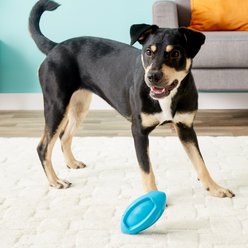 JW Pet iSqueak Funble Football Dog Toy, Color Varies, Medium slide 2 of 2