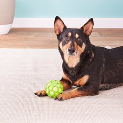 JW Pet ProTEN Hol-ee Roller Dog Toy, Small slide 2 of 3