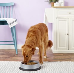 JW Pet Skid Stop Heavyweight Non-Skid Plastic Dog & Cat Bowl, 10-cup slide 2 of 4