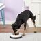 Show in main carousel: JW Pet Skid Stop Heavyweight Non-Skid Plastic Dog & Cat Bowl, 4-cup slide 2 of 6