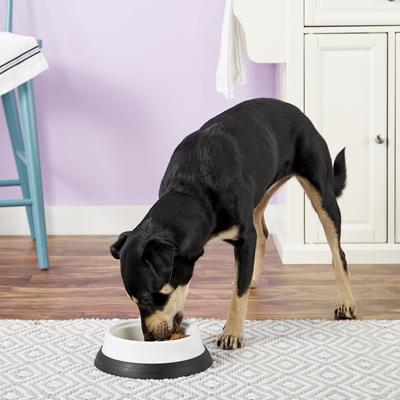 Show full view: JW Pet Skid Stop Heavyweight Non-Skid Plastic Dog & Cat Bowl, 4-cup slide 2 of 6