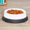 Show in main carousel: JW Pet Skid Stop Heavyweight Non-Skid Plastic Dog & Cat Bowl, 4-cup slide 3 of 6