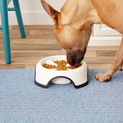 Show full view: JW Pet Skid Stop Non-Skid Plastic Slow Feeder Dog Bowl, 3-cup slide 2 of 6