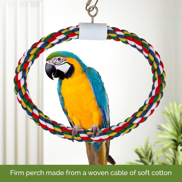 JW PET Swing N' Perch Bird Toy, Large - Chewy.com
