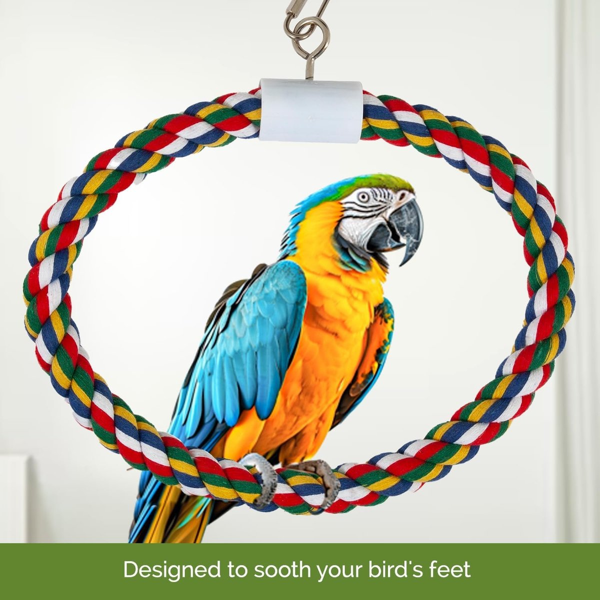 JW PET Swing N' Perch Bird Toy, Large - Chewy.com
