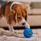 Show in main carousel: JW Pet Treat N Squeak Ball Treat Dispensing Dog Toy, Medium slide 4 of 5