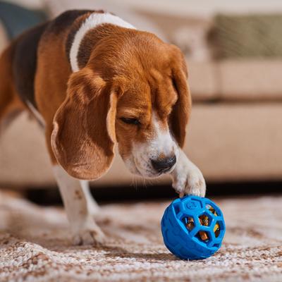 Show full view: JW Pet Treat N Squeak Ball Treat Dispensing Dog Toy, Medium slide 4 of 5