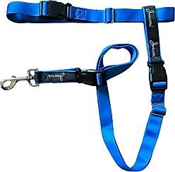 JWalker Dog 3-in-1 Hands-Free Walking Utility Dog Leash, Blue Jay, Medium-Large: 1-in wide
