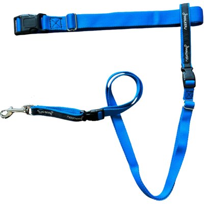 JWalker Dog JWalker Dog 3-in-1 Hands-Free Walking Utility Dog Leash, Blue Jay, Tiny-Medium: 4 to 10 feet long, 5/8-in wide