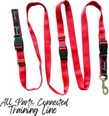 Show full view: JWalker Dog 3-in-1 Hands-Free Walking Utility Dog Leash, Cardinal Red, Medium-Large: 1-in wide slide 5 of 5