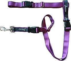 JWalker Dog 3-in-1 Hands-Free Walking Utility Dog Leash, Eggplant, Medium-Large: 1-in wide