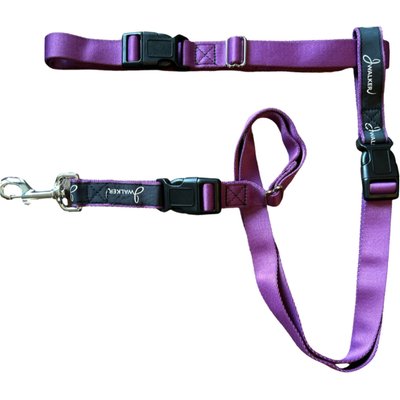 JWalker Dog JWalker Dog 3-in-1 Hands-Free Walking Utility Dog Leash, Eggplant, Medium-Large: 1-in wide