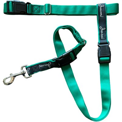 JWalker Dog JWalker Dog 3-in-1 Hands-Free Walking Utility Dog Leash, Emerald Green, Medium-Large: 1-in wide