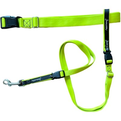 JWalker Dog JWalker Dog 3-in-1 Hands-Free Walking Utility Dog Leash, Lime Punch, Tiny-Medium: 4 to 10 feet long, 5/8-in wide