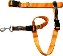 JWalker Dog 3-in-1 Hands-Free Walking Utility Dog Leash, Tangerine, Medium-Large: 1-in wide