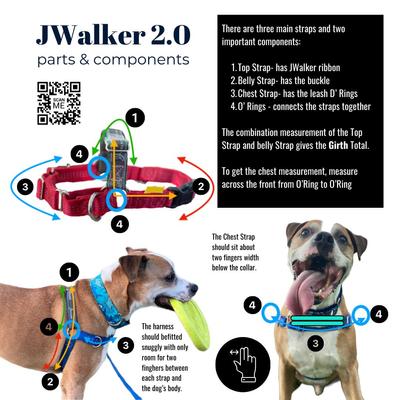 Show full view: JWalker Dog Harness, Black Bear, Tiny slide 3 of 9