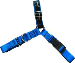 JWalker Dog Harness, Blue Jay, Medium/Large