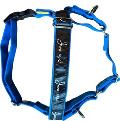 JWalker Dog Harness, Blue Jay, Medium/Large slide 2 of 6