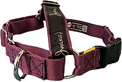 JWalker Dog Harness, Eggplant Purple, Small/Medium slide 2 of 5