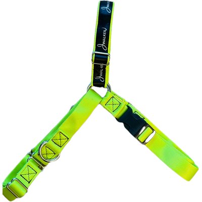 JWalker Dog JWalker Dog Harness, Lime Punch, X-Large
