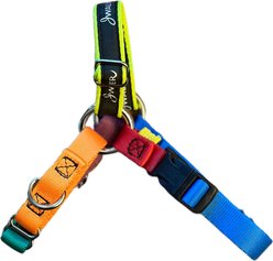 JWalker Dog Harness, Rainbow, X-Small
