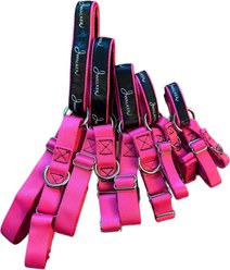 JWalker Dog Harness, Raspberry Pink, Medium/Large slide 2 of 5