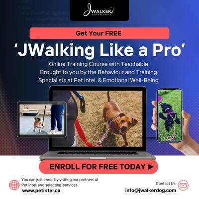 Show full view: JWalker Dog Harness, Raspberry Pink, Medium/Large slide 6 of 9